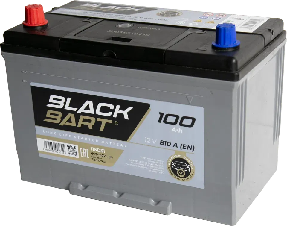 BLACKBART Asia 100 Ah Direct