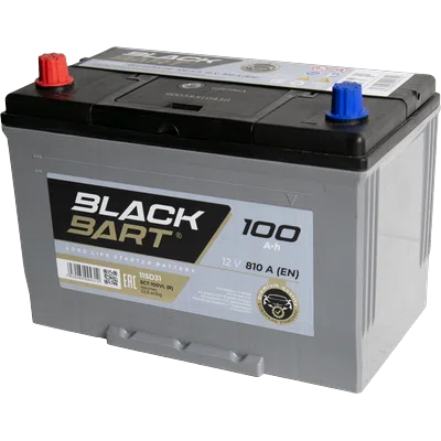BLACKBART Asia 100 Ah Direct