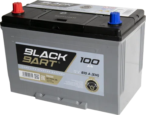 BLACKBART Asia 100 Ah Direct - ракурс 2