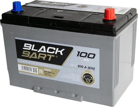 BLACKBART Asia 100 Ah Reverse - ракурс 1