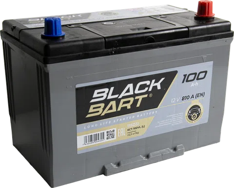 BLACKBART Asia 100 Ah Reverse - ракурс 2