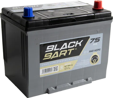 BLACKBART Asia 75 Ah Reverse - ракурс 3